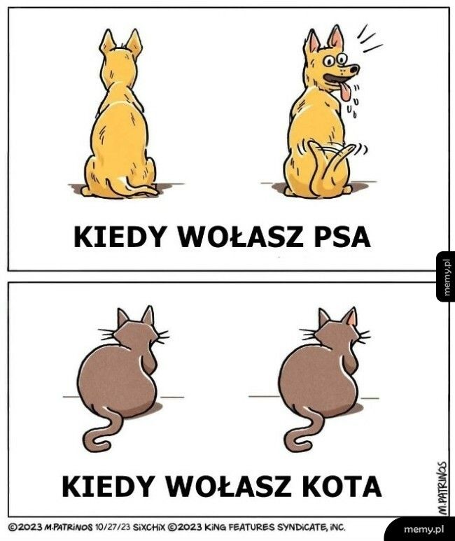 Jedno jest pewne - na pewno to słyszał