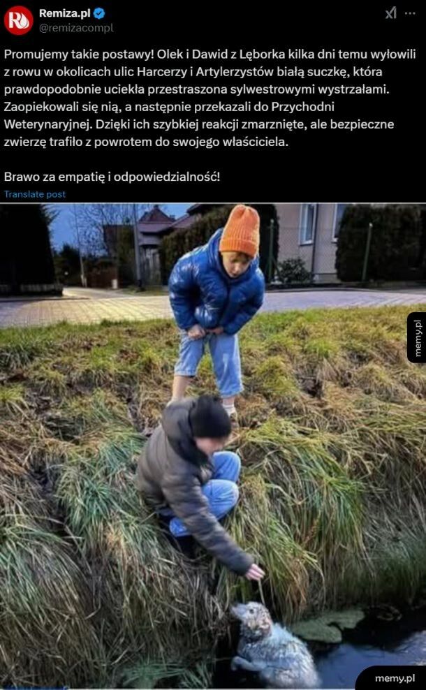 Ogromny szacun dla chłopców z Lęborka, którzy uratowali psu życie