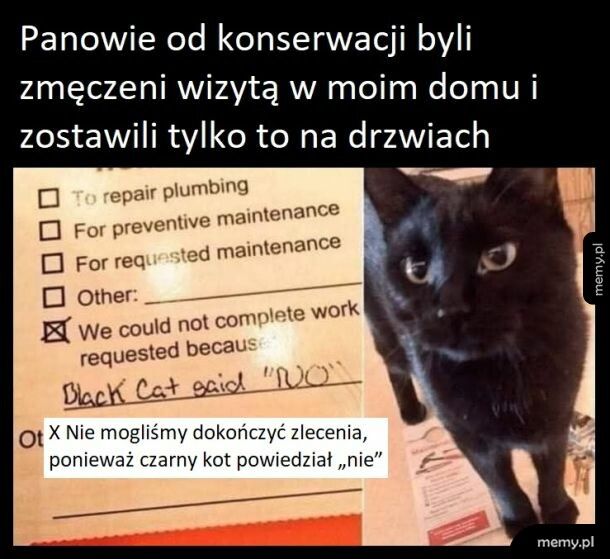 Też bym się posłuchała