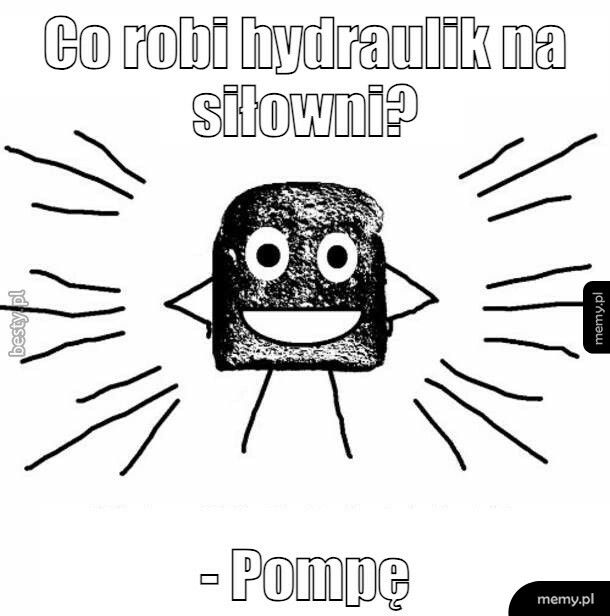 Co robi hydraulik na siłowni?