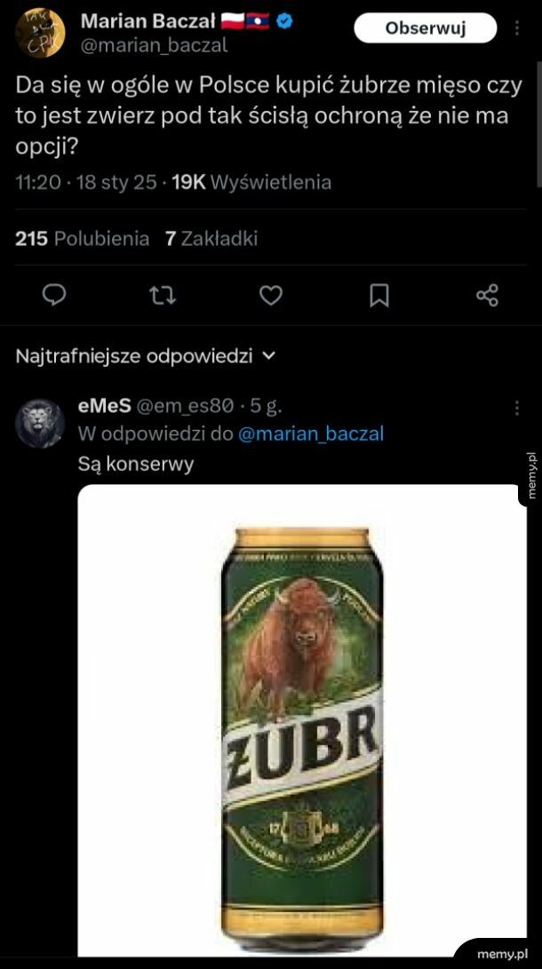 Żubrze mięso