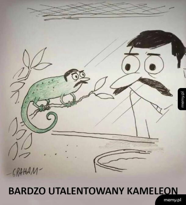 Zdolny kameleon