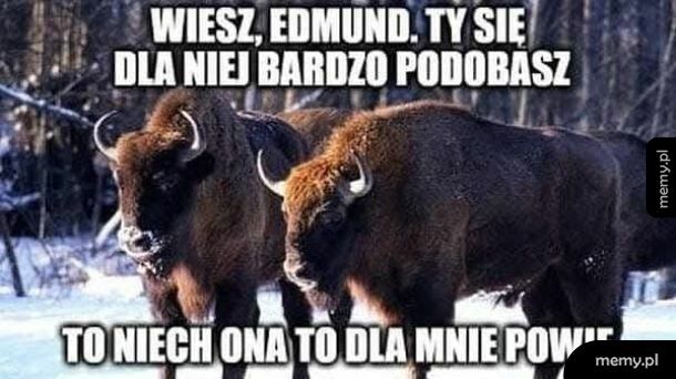 Tymczasem na Podlasiu