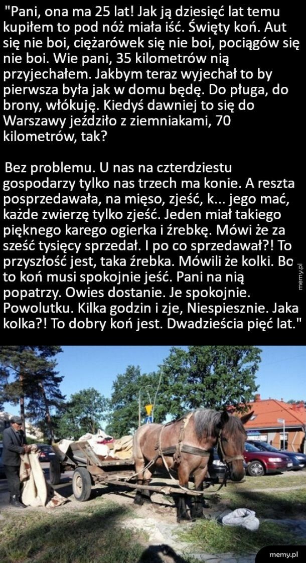 Prawdziwy koniarz