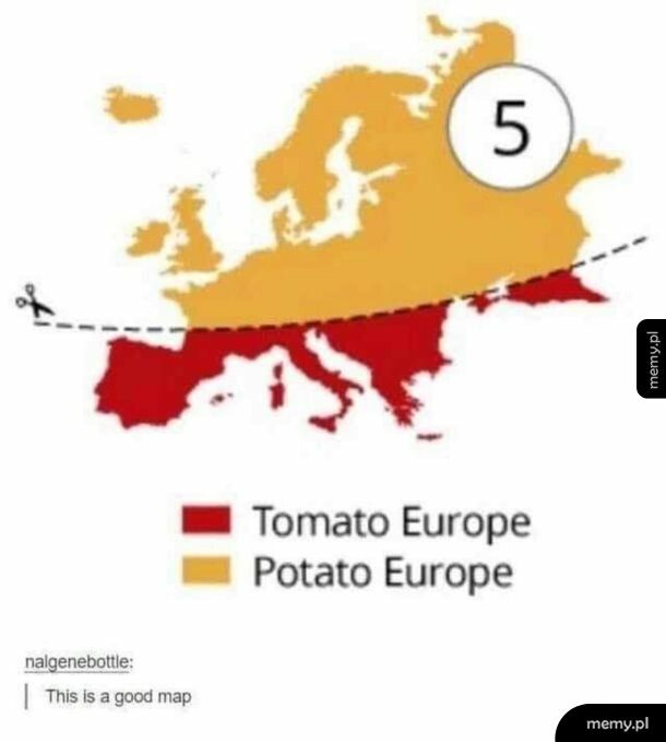 Najtrwalszy podział