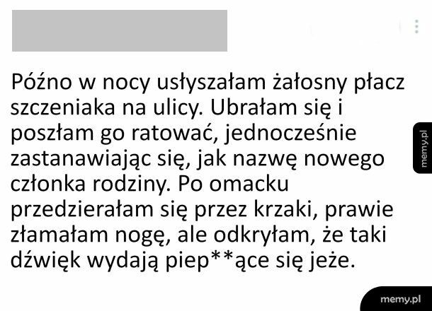 Dziwne dzwięki