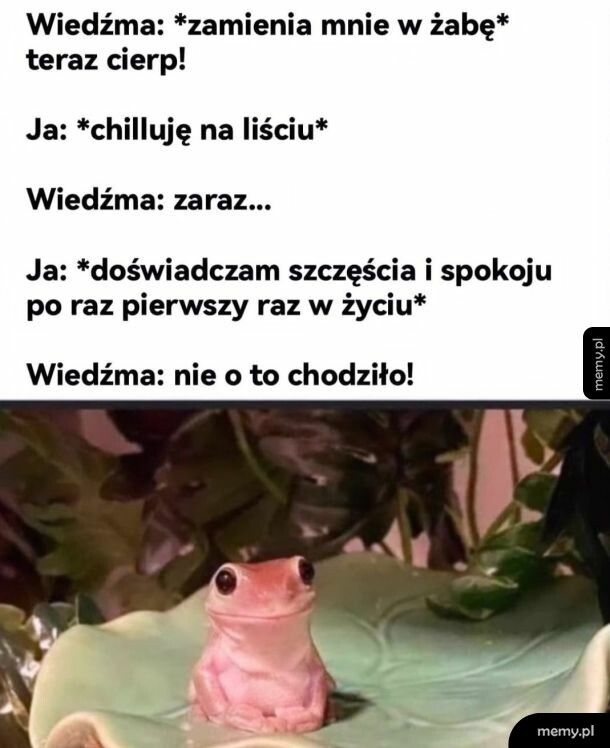 Jest w pytę