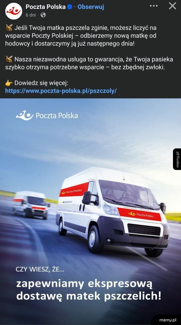 Czy to oznacza, że żeby moja paczka dotarła na czas muszę dodatkowo zamówić pszczołę?