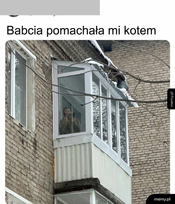 Kot widzę przeszczęśliwy