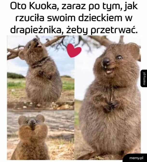 Dzień madki coraz bliżej.