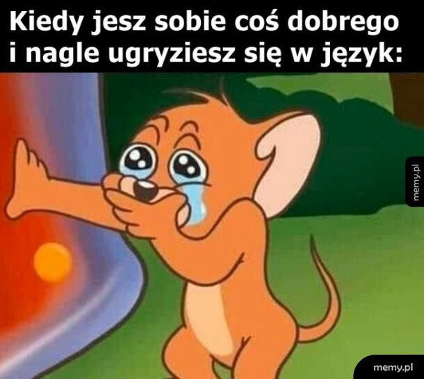 Bywa
