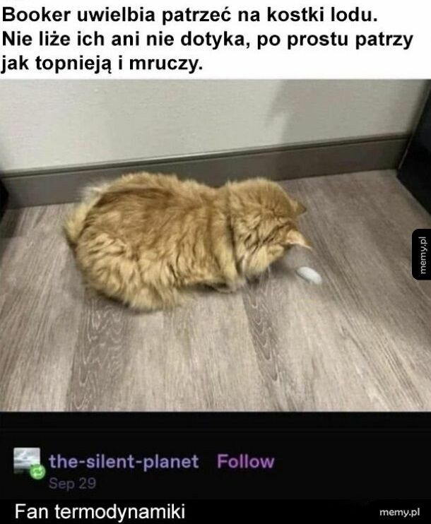 Fizyka to jego pasja