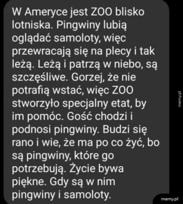 Praca marzeń