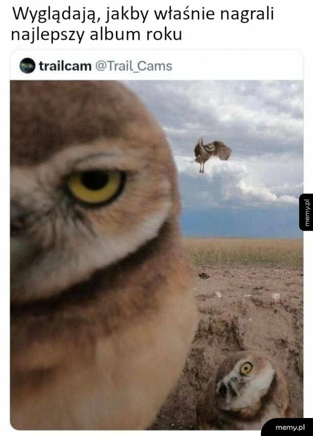 Najlepszy album roku