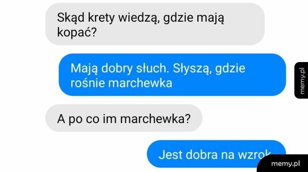 Wzrok