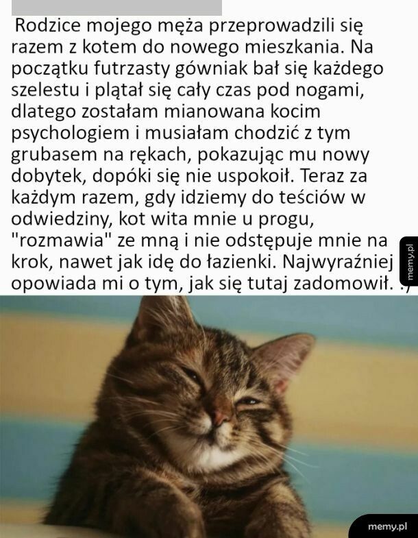 Futrzak