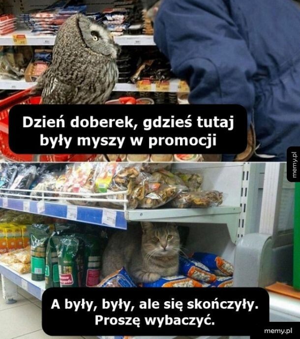 Zakupy