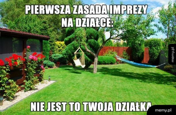Impreza na działce