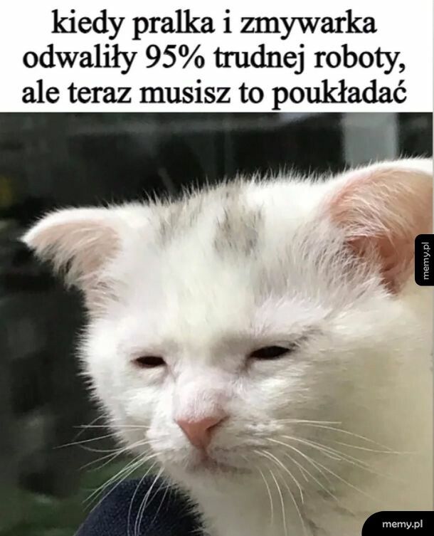Te najgorsze 5%