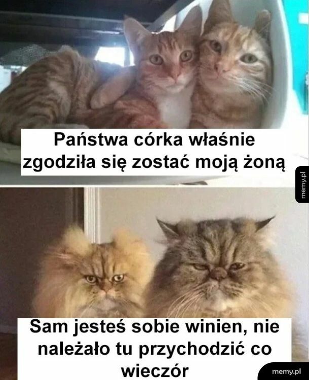 Co za pech