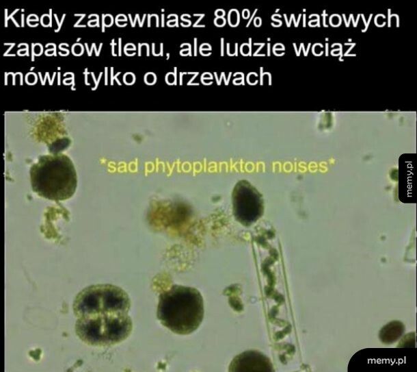 Doceńmy