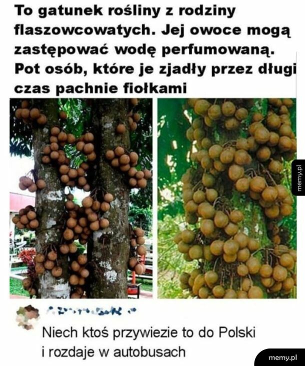 Tak