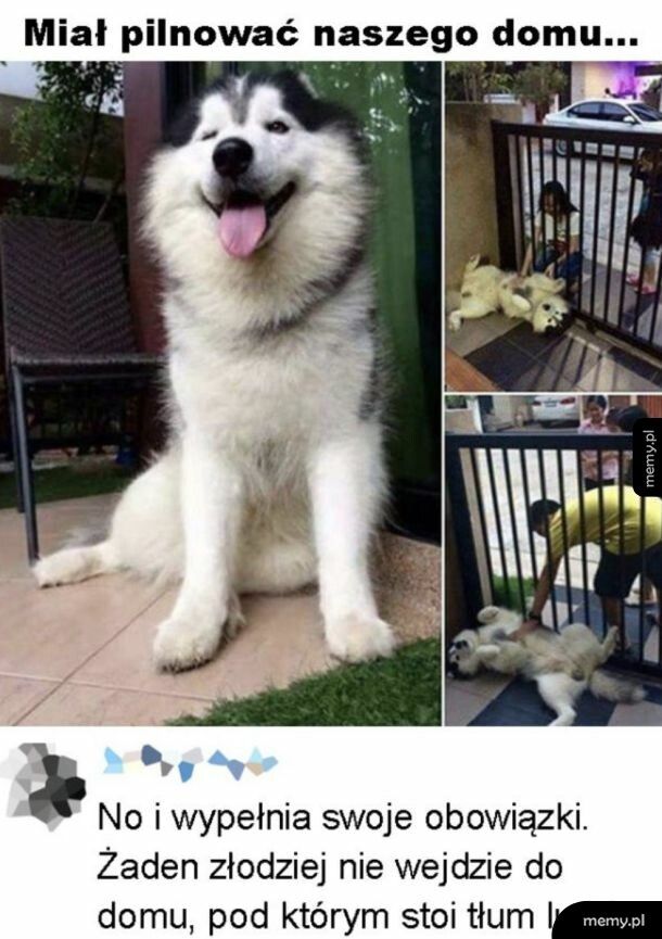 Pilnuje na swój sposób
