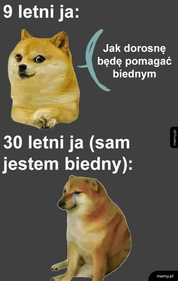 Bieda