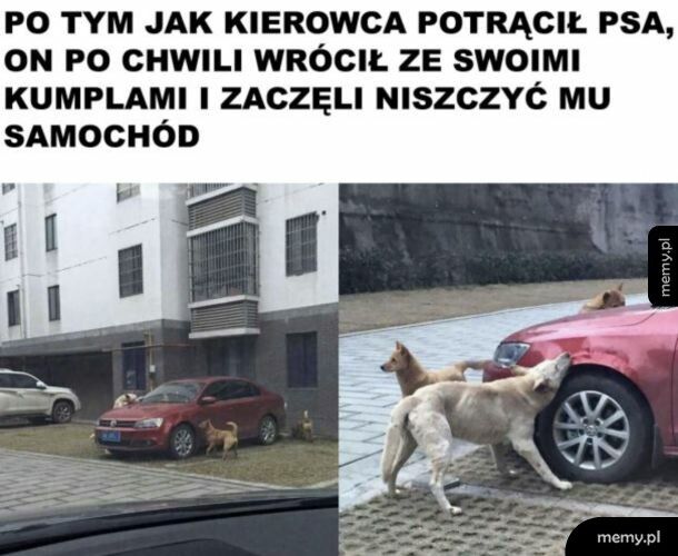 Karma