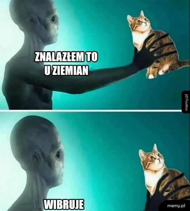 Cudne znalezisko