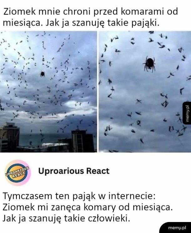 Tarcza przed komarami