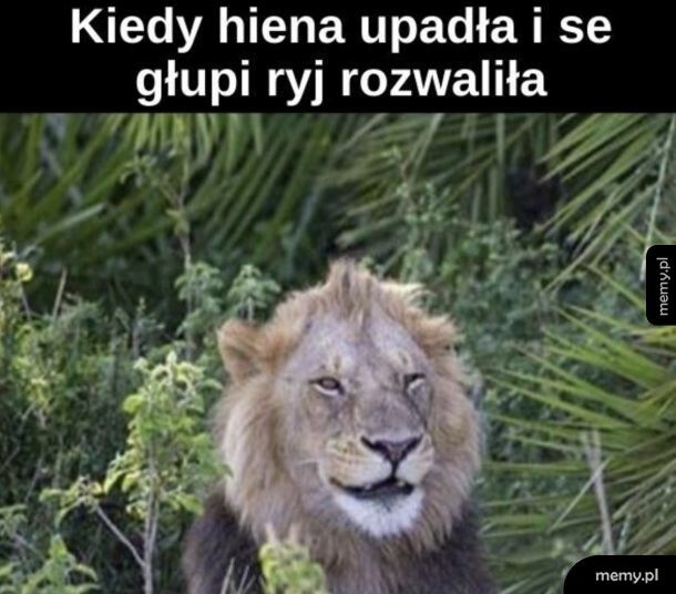 he he he