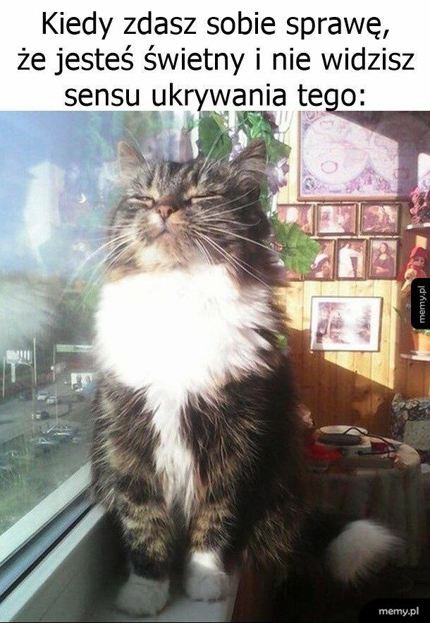 Oczywiście   xd