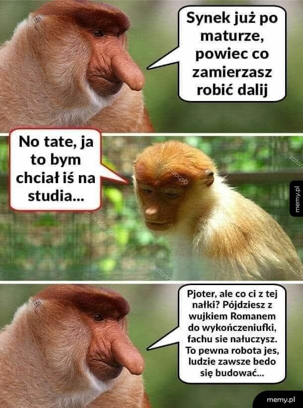 Pioter student
