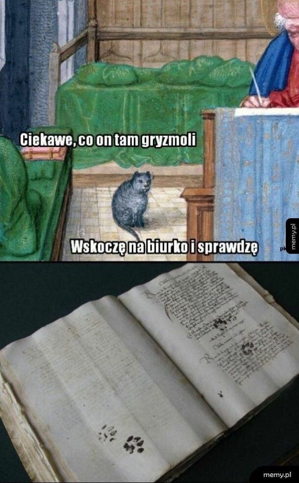 Kontrola