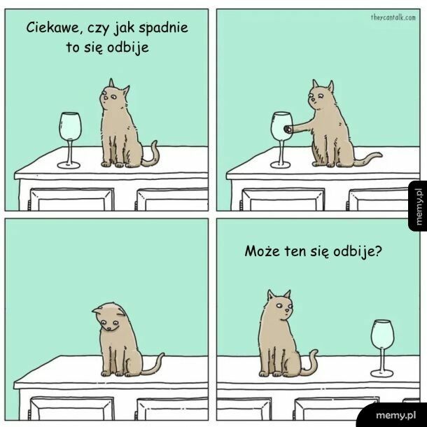 Oto jest pytanie