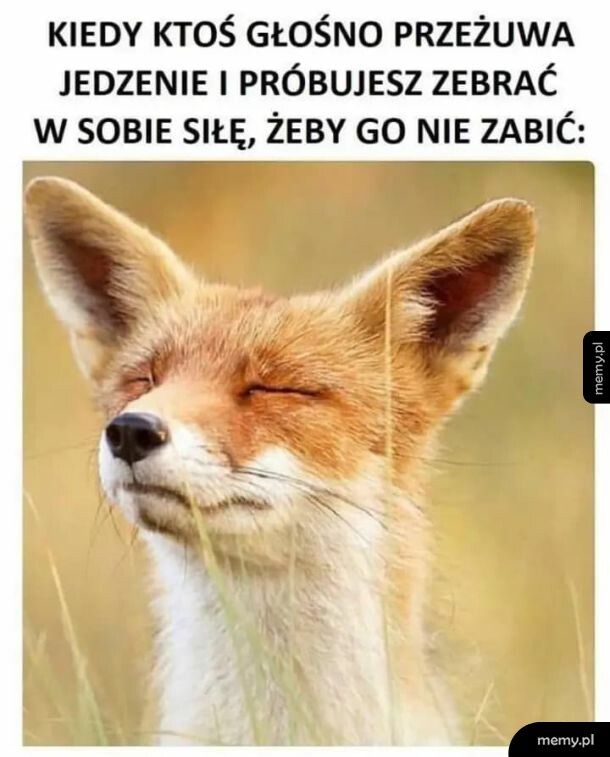 Granice wytrzymałości