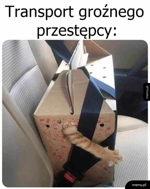 Bandzior