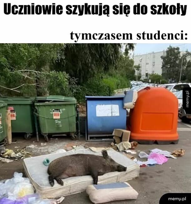 Jeszcze miesiąc laby