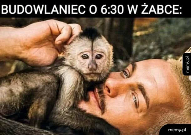 Małpka