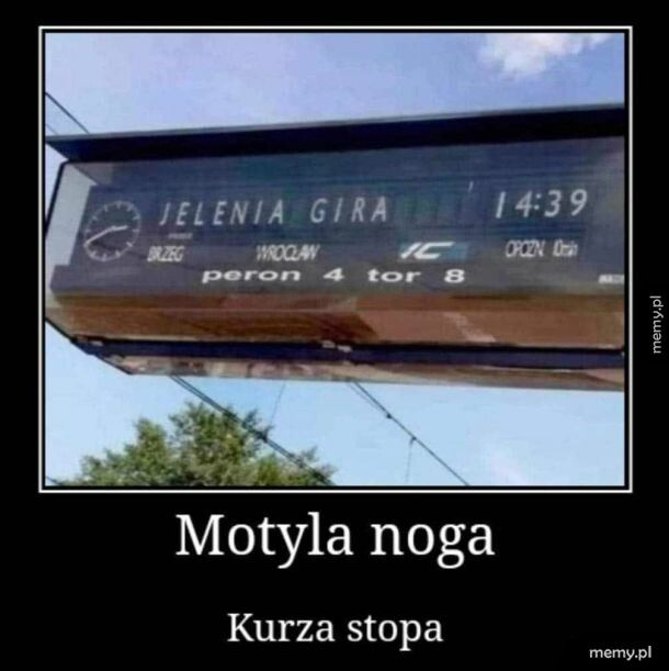 Jelenia gira