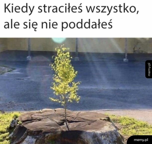 Głowa do góry