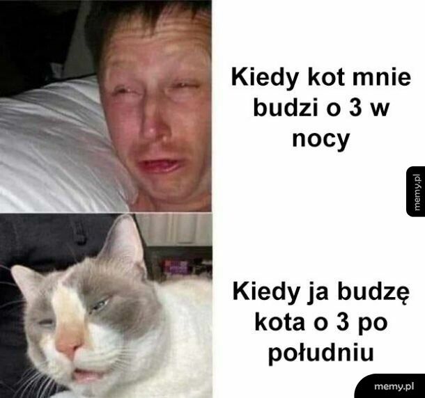Pobudka