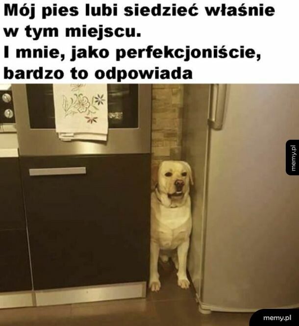 Idealnie
