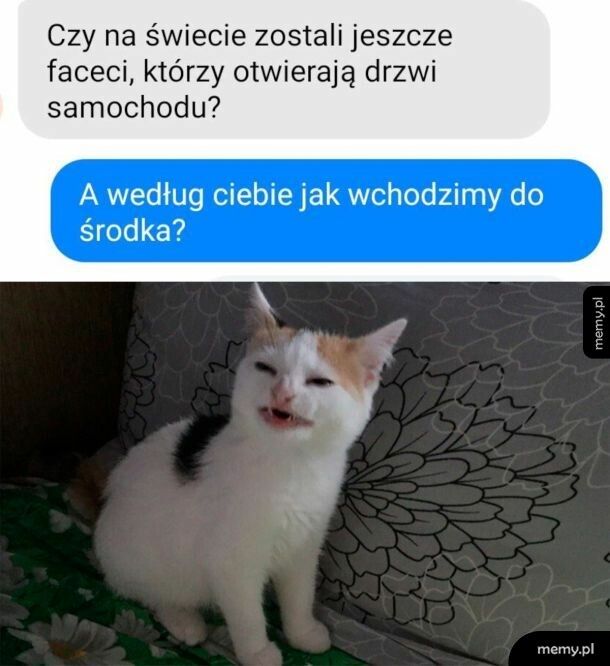 Dżentelmeni