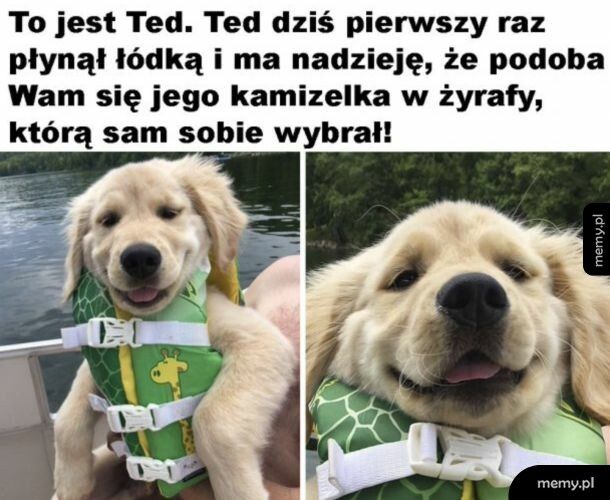 Zuch pieseł