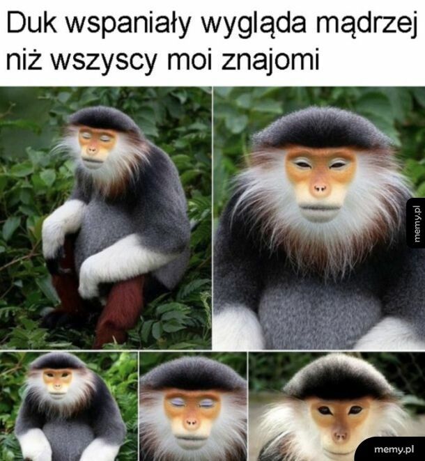 Jak mnich