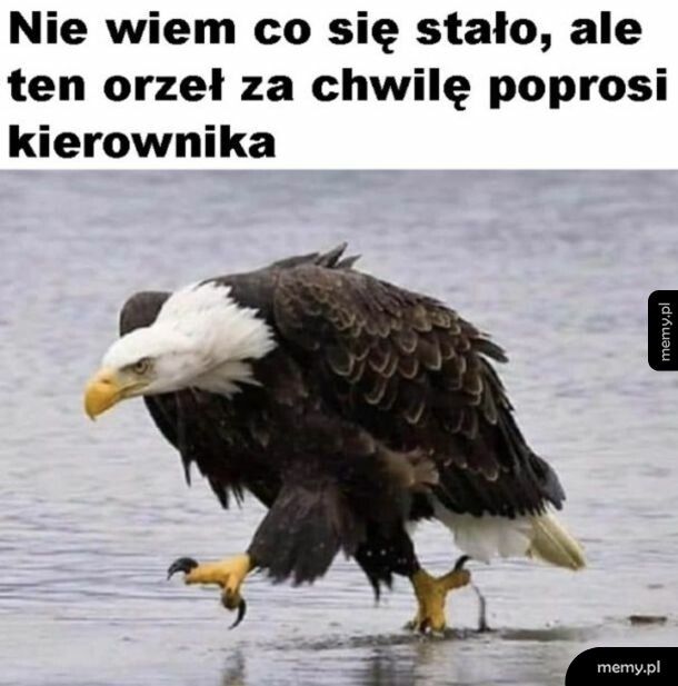 Epickie zdjęcie