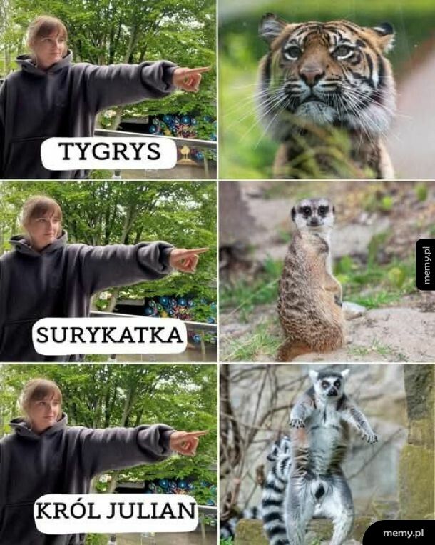 Tak
