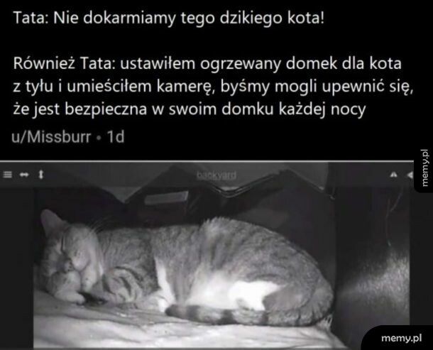 Zawsze się tak kończy